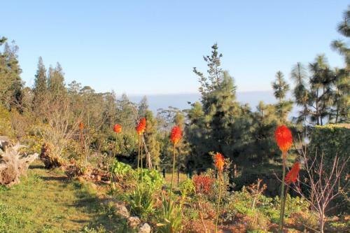 Agroturismo Haybarn Cottage By Ourmadeira