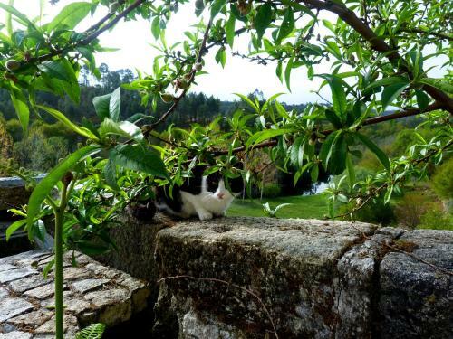 Bed & Breakfast Quinta Dos Tres Rios