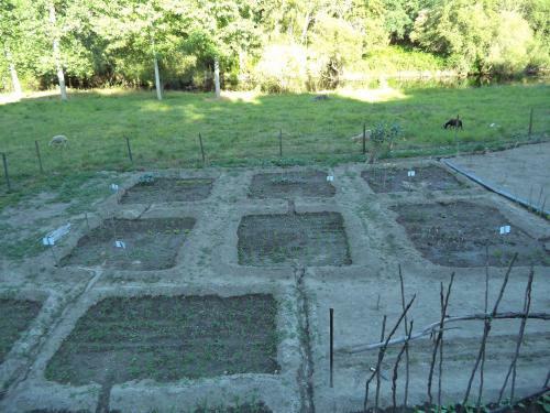 Bed & Breakfast Quinta Dos Tres Rios