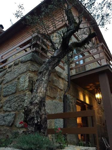 Agroturismo Moinhos Do Pis�o