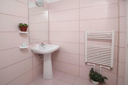 Hostal Pensiunea Floare de Colt