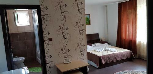 Hostal Pensiunea Casa Beatrice Bran