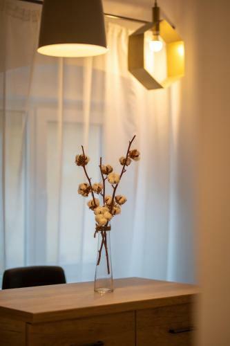 Venice Boutique Aparthotel