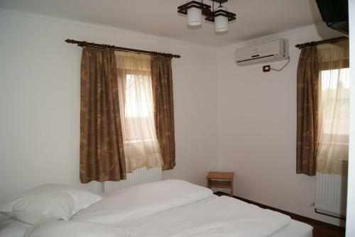 Hostal Pensiunea Bujorul