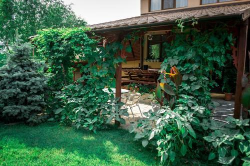 Hostal Pensiunea Bujorul