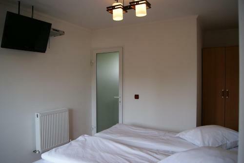 Hostal Pensiunea Bujorul
