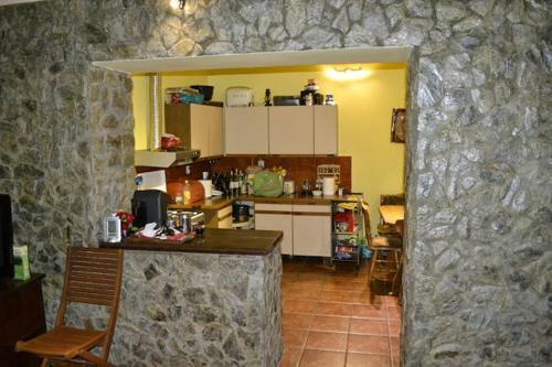 Casa Sasca Montana