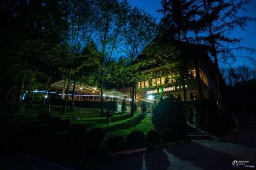 Hotel Pensiunea Turistica Cabana Bradet