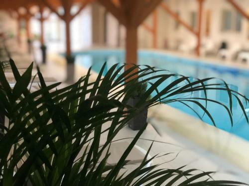 Hotel Ariesul