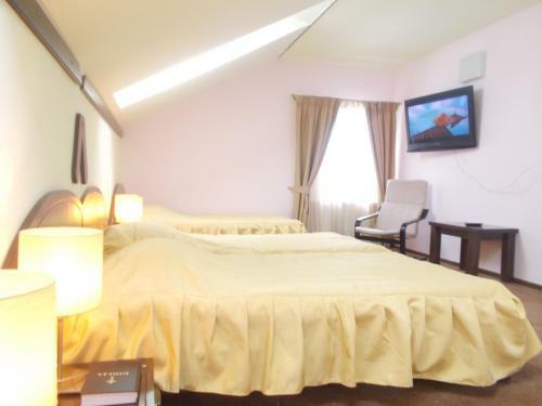 Hostal Pensiunea Casa Ancutei