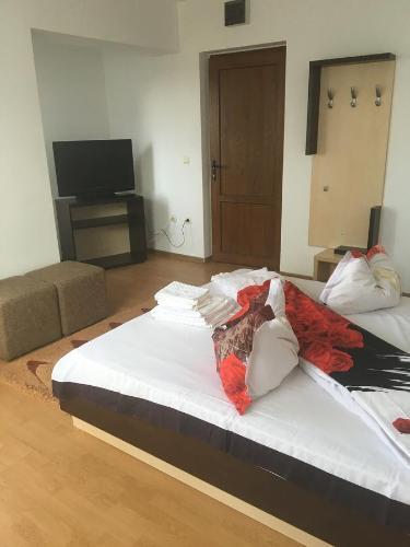 Hostal Pensiunea Rubin