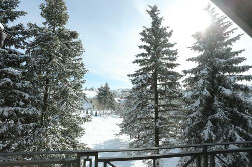 Mipet Apartmani Zlatibor