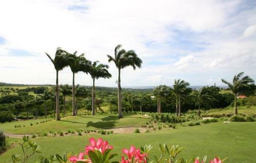Coconut Grove 8 Luxury Villa