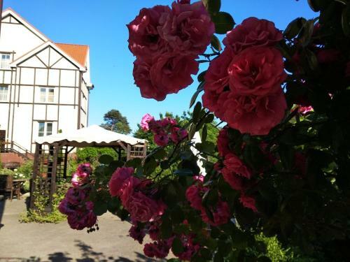 Golden Orchid Hotel