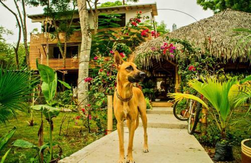 Spondylus Lodge