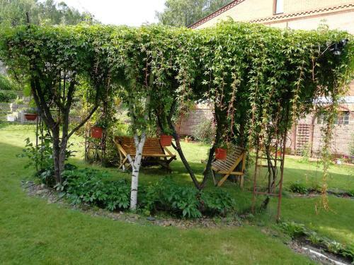 Hostal Guesthouse Turist