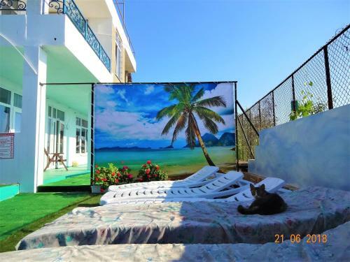 Hostal Guest House Azovsafari