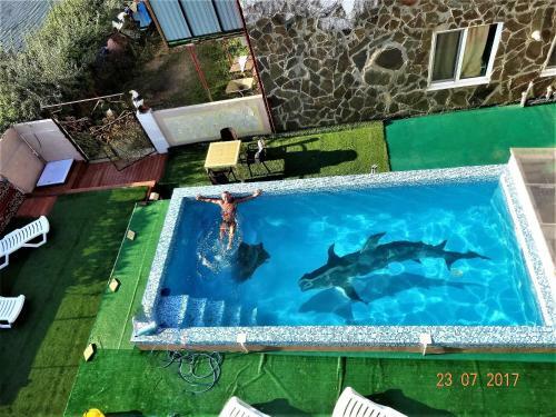 Hostal Guest House Azovsafari