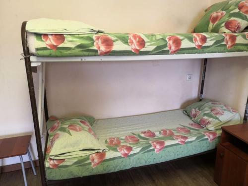 Albergue Hotelhot Kotelniki