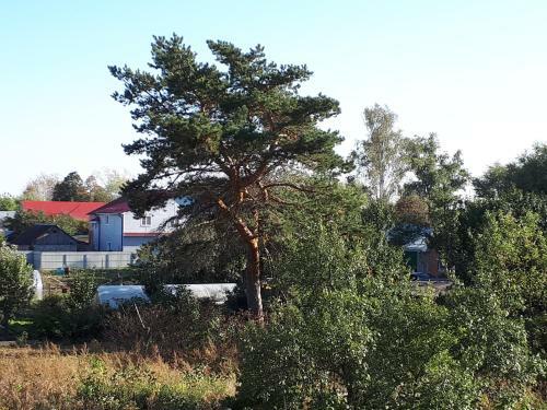 Hostal Guest House Distantsiya