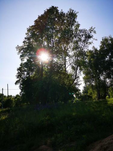 Agroturismo Eco-cottage Losinoye