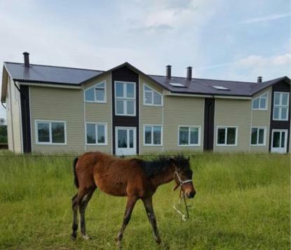 Apartamento Appartment Na Detskoy