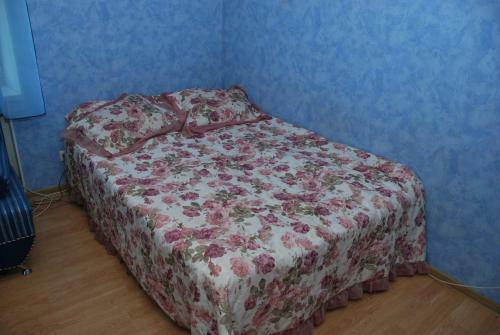 Apartment Polezhaeva