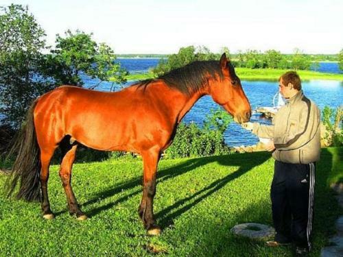 Khutorok Holiday Park