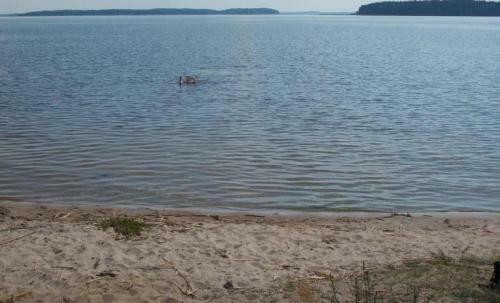 Khutorok Holiday Park