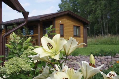 Hostal Holiday Home Tihotut