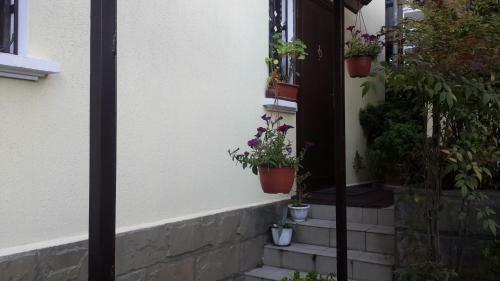 Guest House On Griboyedova 3