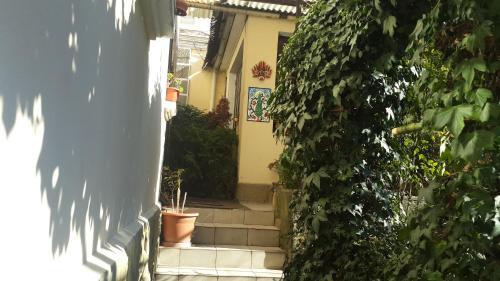 Guest House On Griboyedova 3