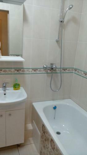 Apartment Kaliningradskiy