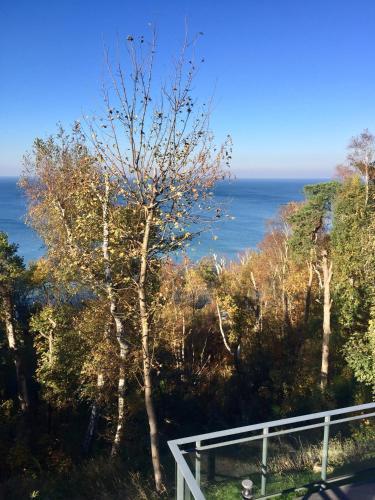 Lazurny Bereg Apartment 4