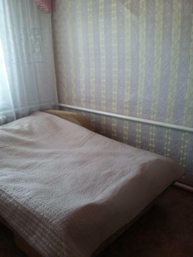 Hostal Alexander Beketov's Guesthouse