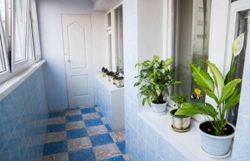 Apartment On Druzhby 105
