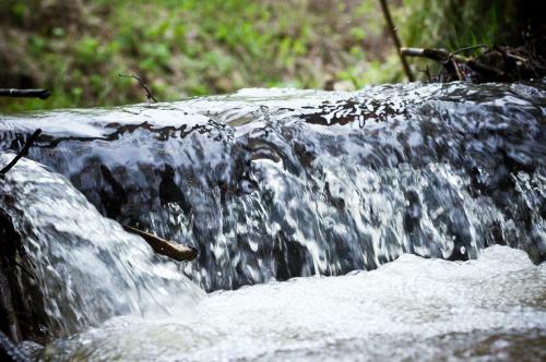 Hostal Guest House U Rodnika