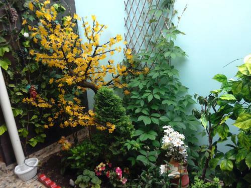 Hostal Guest House Vishnevyi Sad
