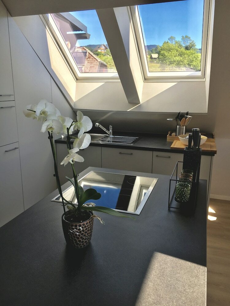 Apartamentos Studio ?pica