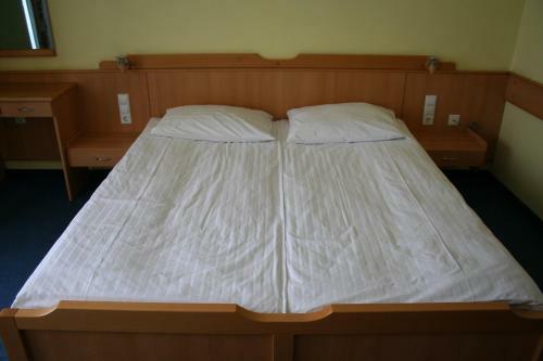 Hotel Botra