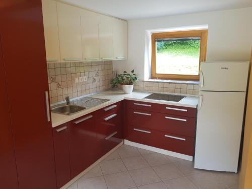 Hostal Penzion Vodnik