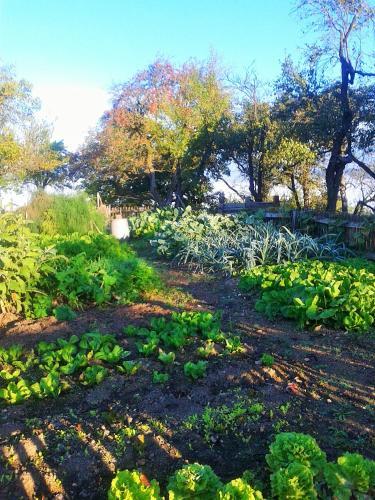 Agroturismo Pri Lazarju Farm Stay
