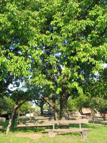 Agroturismo Pri Lazarju Farm Stay
