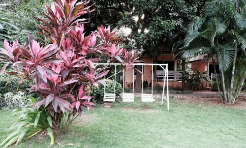 Hotel Khao Yai Cottage