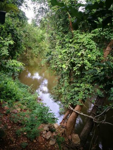 Hostal The Creek At Khao Yai