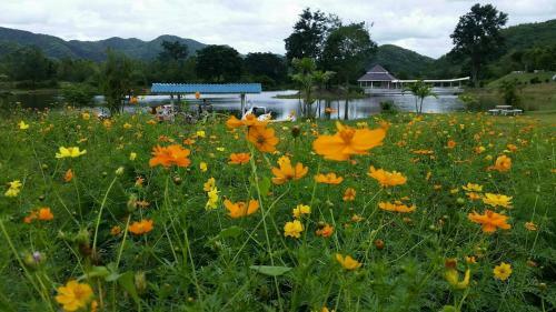Hotel Tanaosri & Creekside Resort