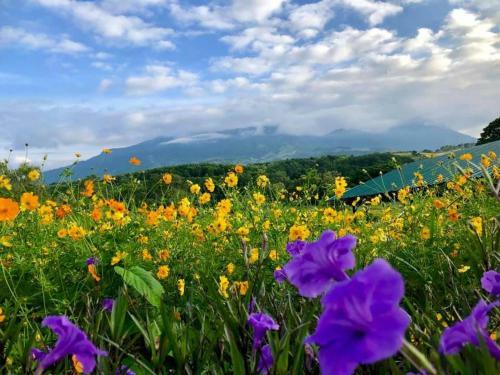Hotel Khao Kho Overview Resort