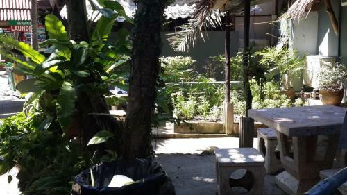 Albergue Palio Home Koh Phangan