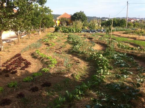 Agroturismo Quinta De S�o Jos� Dos Montes