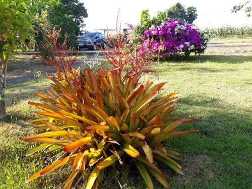 Hostal Ban Ing Nam Resort